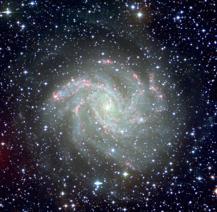 галактика Фейерверк NGC 6946