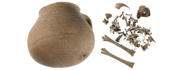 кувшин, кости, цыпленок, фото