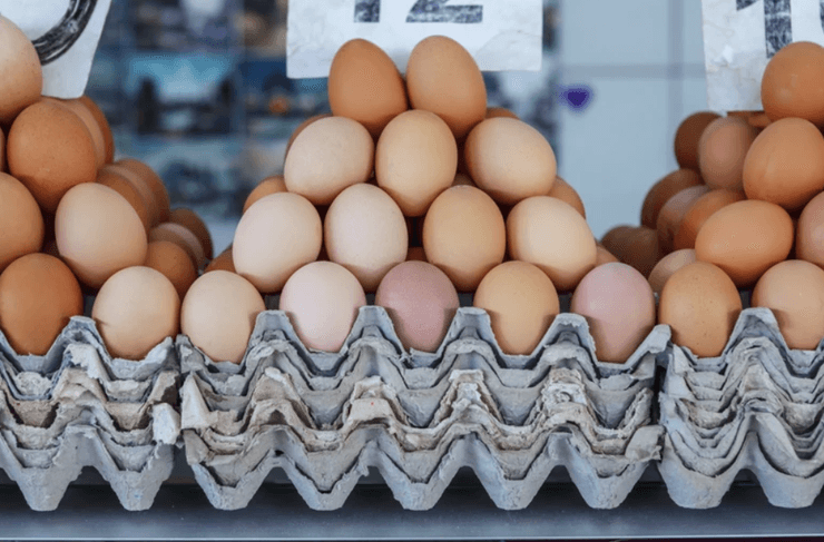 Яйца в контейнерах