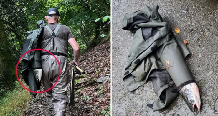 Рыбак поймал лосося и получил штраф в 3000 евро, рыбалка, суд, Великобритания, Стивен Сэмюэл, скандал, защита природы