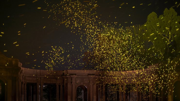 фейерверк, бесшумный салют, spark, фейерверк spark