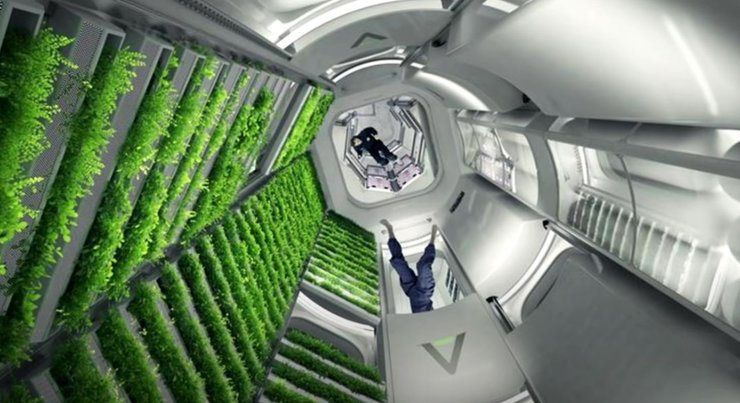 Orbital Reef, орбитальная станция, модуль, выращивание растений в космосе