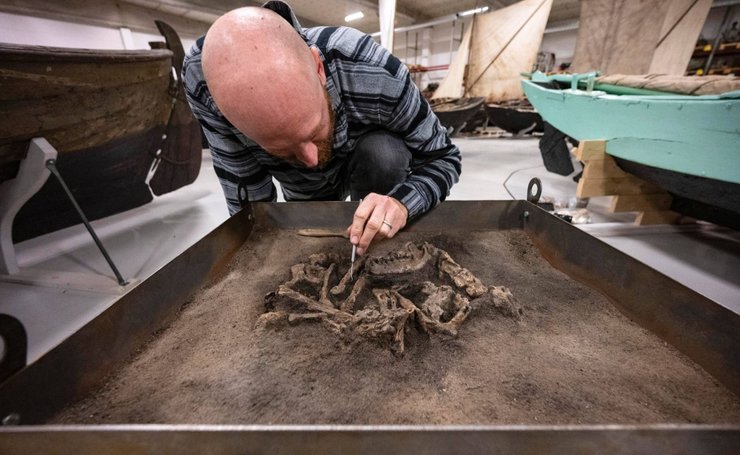 Все фото: Blekinge museum