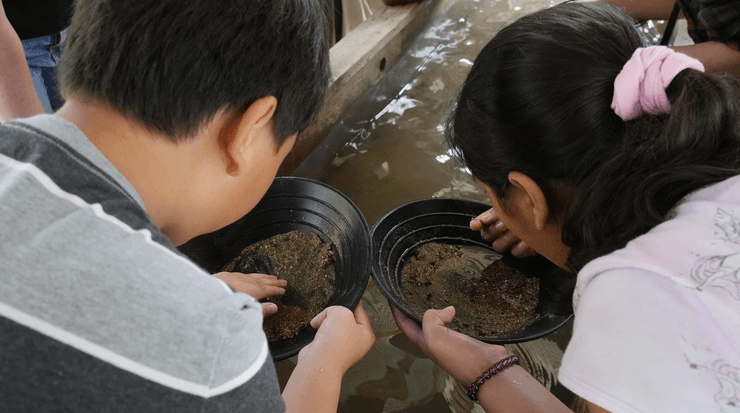 Золотошукачі, золото, старателі, річка, Каліфорнія, золота лихоманка