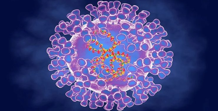 віспа мавп, мавпа віспа, спалах віспи мавп, вірус віспи мавп, спалах віспи в Європі, віспа в Європі, спалах вірусу, вірусна інфекція, віспа мавп симптоми, натуральна віспа, чорна віспа, рідке захворювання, випадок, віспа мавп вакцинація