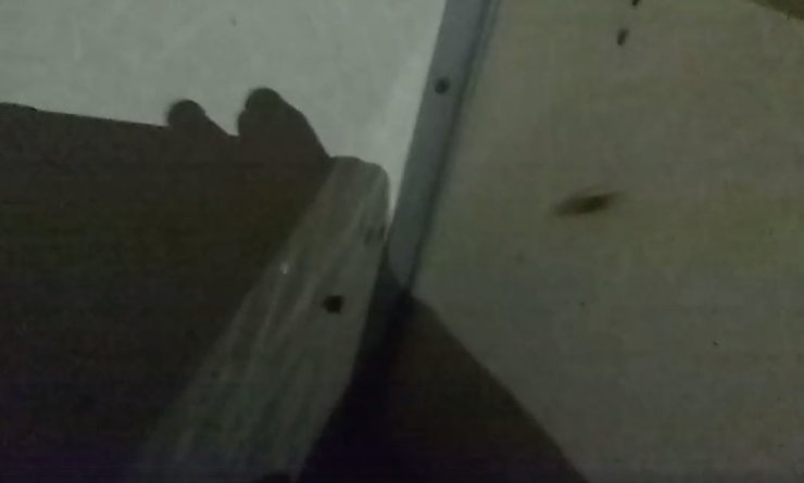 Тараканы, поезд