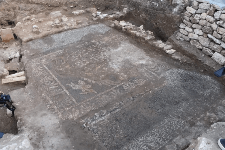 мозаика, археология, Турция, раскопки, находка, артефакты, история, цивилизация, древние люди,