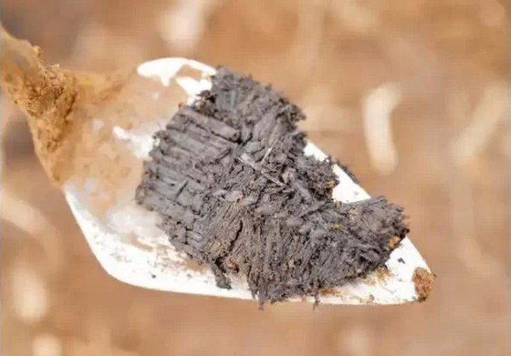 розкопки, трава, циновка, корінне населення, історія, археологія, будинок, археологи, люди, плетіння, плем’я, ремесло, артефакт, знахідка, волокна