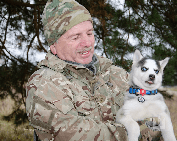 Тварини війни в проєкті Фото з війни