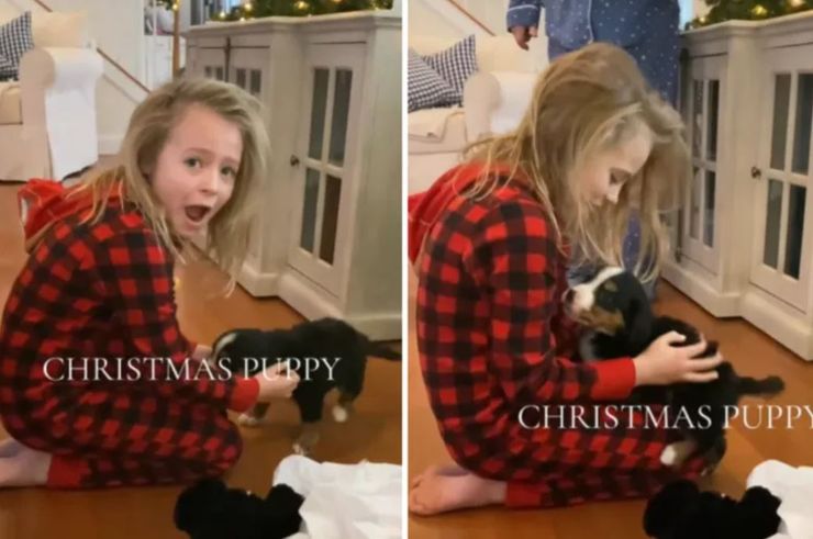 Подарок на Рождество, реакция детей на презент, интересные истории удивительные случаи из жизни