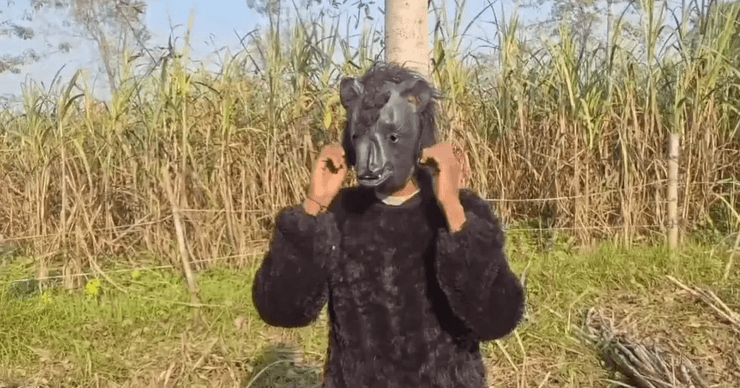 Фермер надевает костюм "медведя"