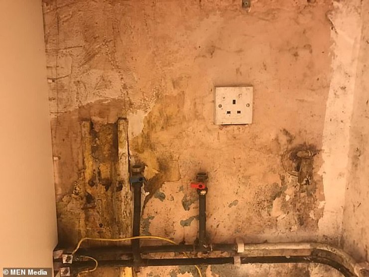 Жилье в Манчестере. Плесень на стенах