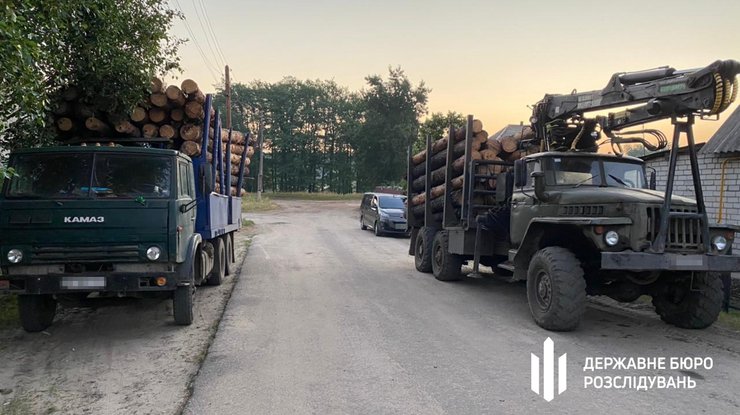 ГБР, спецоперация ГБР, продажа древесины