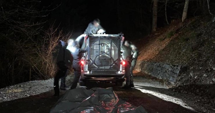 Ведмедиця, клітка, люди, дорога,