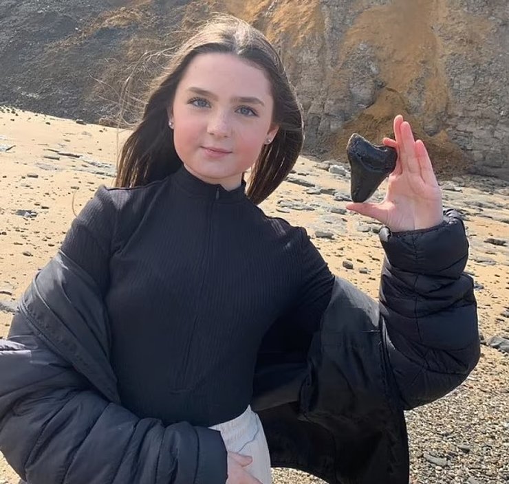 зуб мегалодон