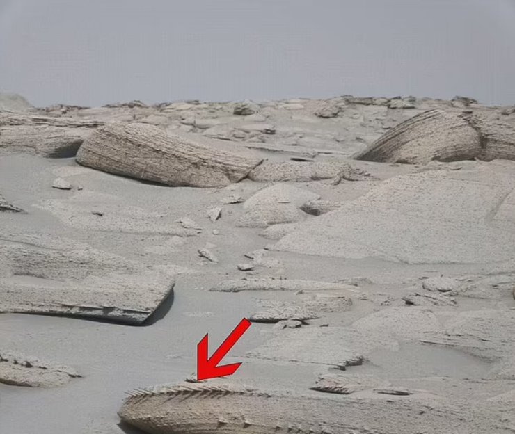 Марс, дивний камінь, незвичайна структура