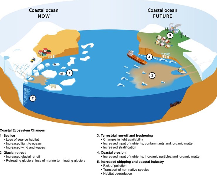 арктика сейчас будущее, будущее арктики, климат арктика