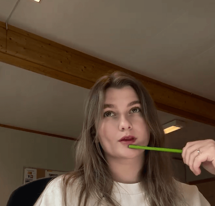 украинка вернулась из норвегии