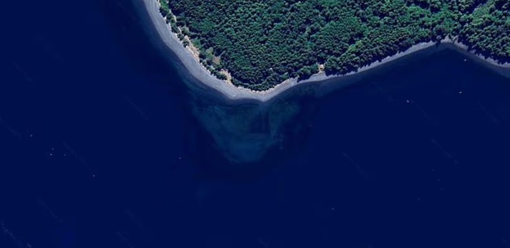 отмель, череп