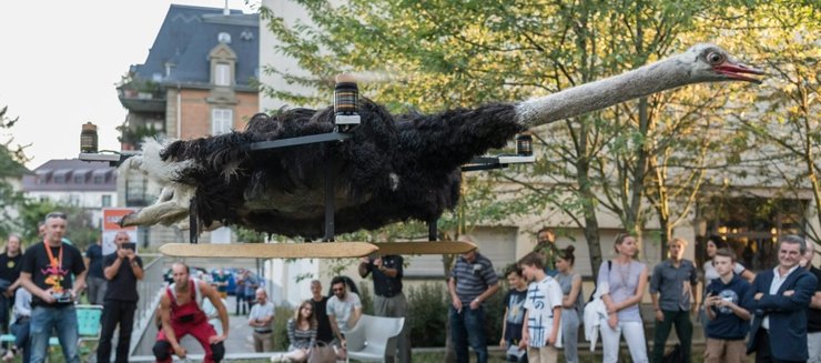 коптери з тварин