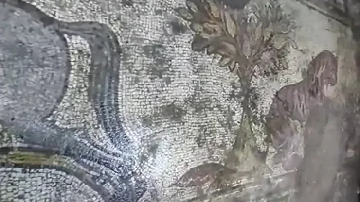 Діяли на підставі оперативної інформації: у Туреччині врятували 1500-річну мозаїку від контрабандистів (фото)1