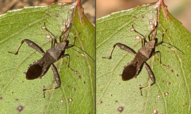 Oppo Find X9 Pro проти Samsung Galaxy S25 Ultra