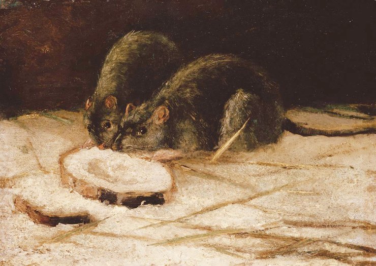 Винсент Ван Гог, Две крысы, картина