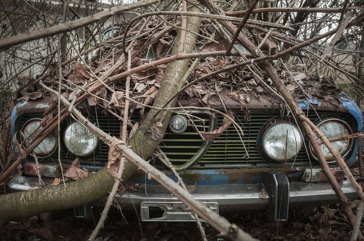 DeTomaso Pantera, Alfa Romeo GTV, Land Rover, цвинтар авто, покинуті авто