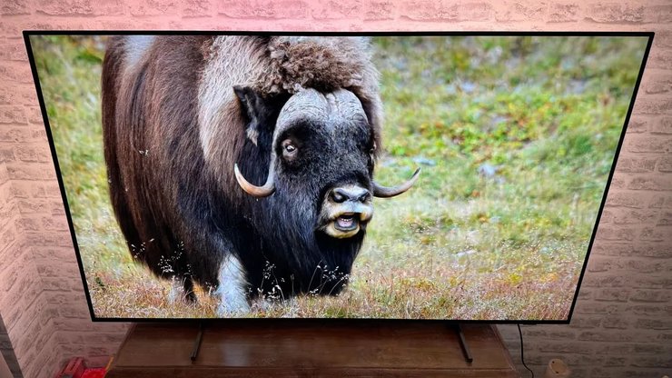 Недорогой OLED-телевизор Philips