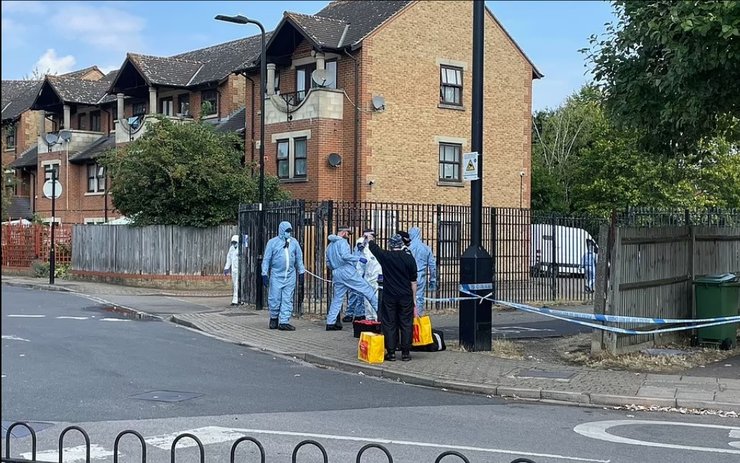 убийство 87-летнего музыканта