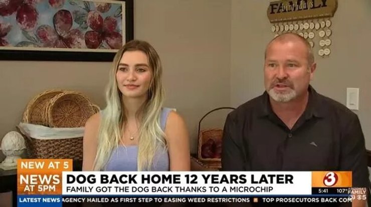 Хозяева Миньона