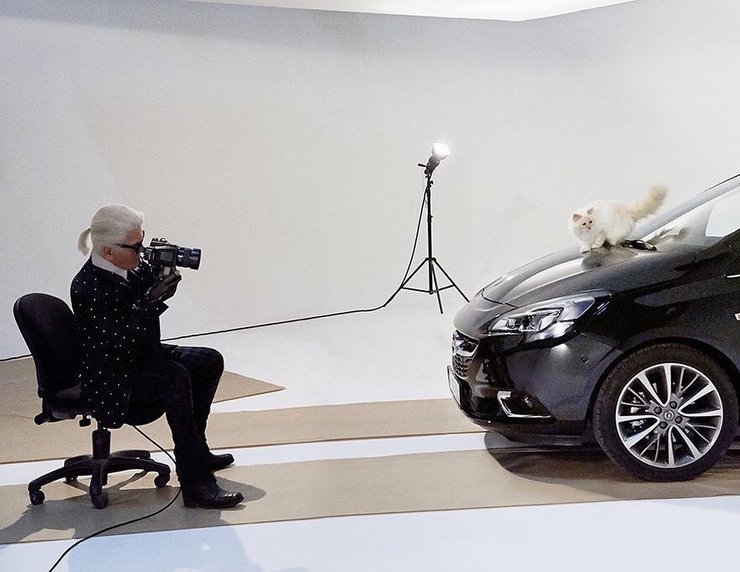 карл лагерфельд, шупетт, кошка, самая богатая кошка в мире