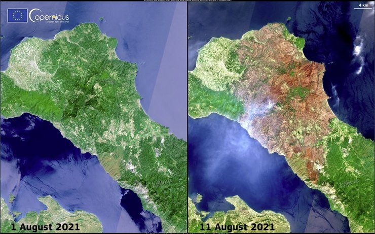 пожары, остров эвбея, фото