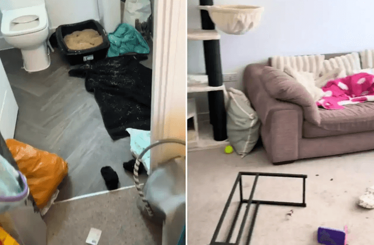 Жінка показала своє державне житло і нарвалась на критику через бардак