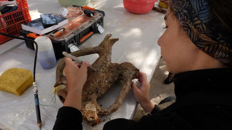 Археологи нашли ценные артефакты