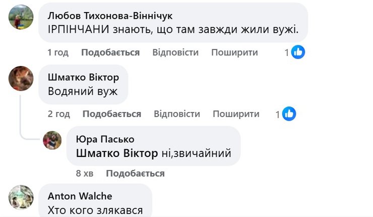 скриншот коментарів щодо вужа в Ірпені на пляжі