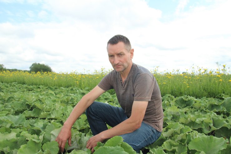 лопух, черниговская область