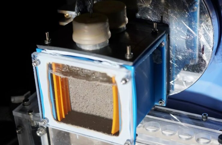 листья, топливо