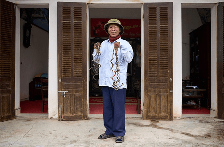 Нігті рекорд