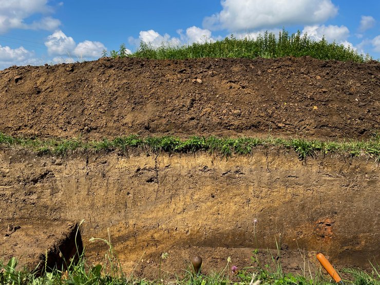 Ивано-Франковская область, Крылос, село Крылос, археология, археологические раскопки, раскопки, история Украины