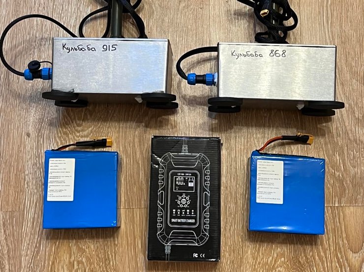 рэб, кульбаба