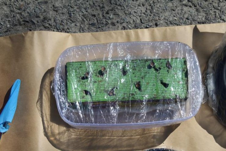 Диверсия на Турецком потоке в Сербии