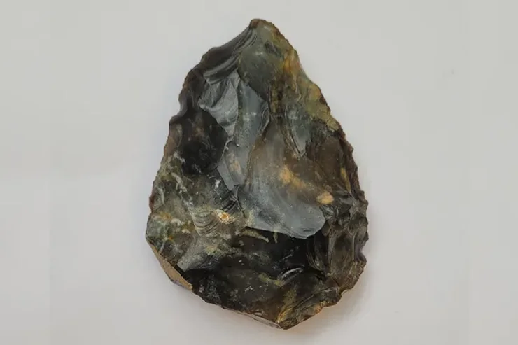 неандертальцы, археология, археологи, Англия, топор, Европа, находка, артефакт