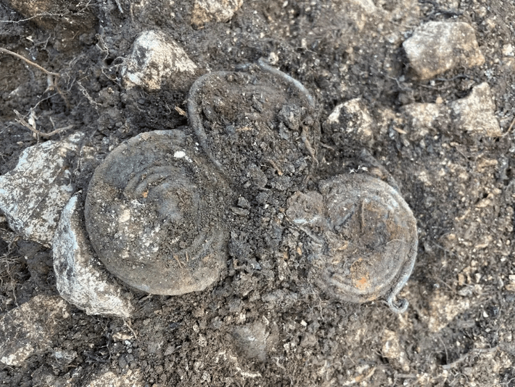 археология, археологи, исследования, захоронение, раскопки, железный век, история, древние люди, артефакты, бронзовый век, Австрия, могила, яма, находка, фибула, браслет, пояс, меч