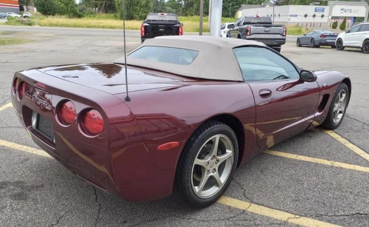 Chevrolet Corvette 50, Chevrolet Corvette 2003, Chevrolet Corvette C5