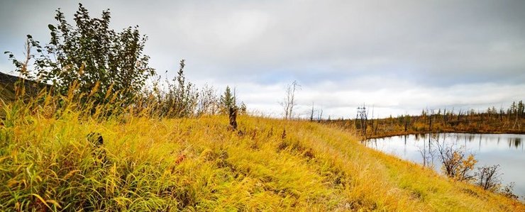 печерні люди, дієта, палеодієта, первісні люди, доісторичні люди, печерні люди, історія їжі, історія людства, що їли первісні люди