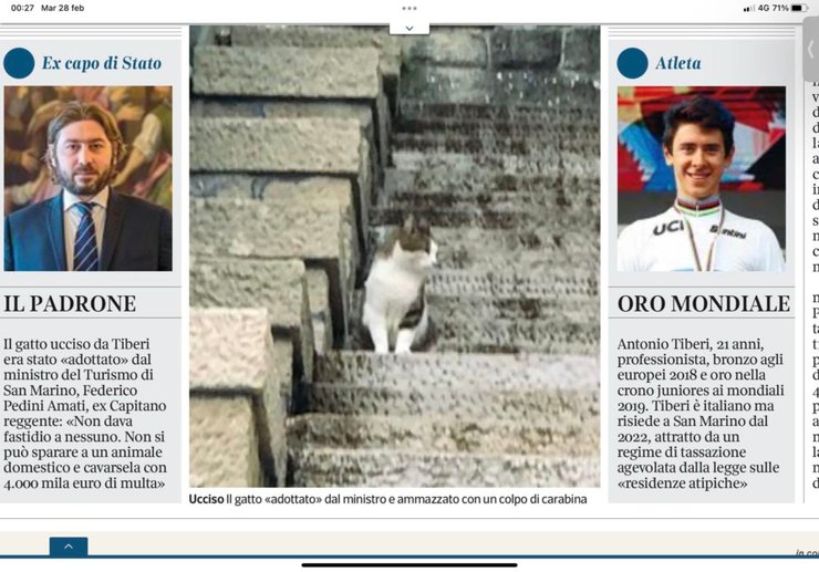 Велосипедист, газета, міністр, кіт