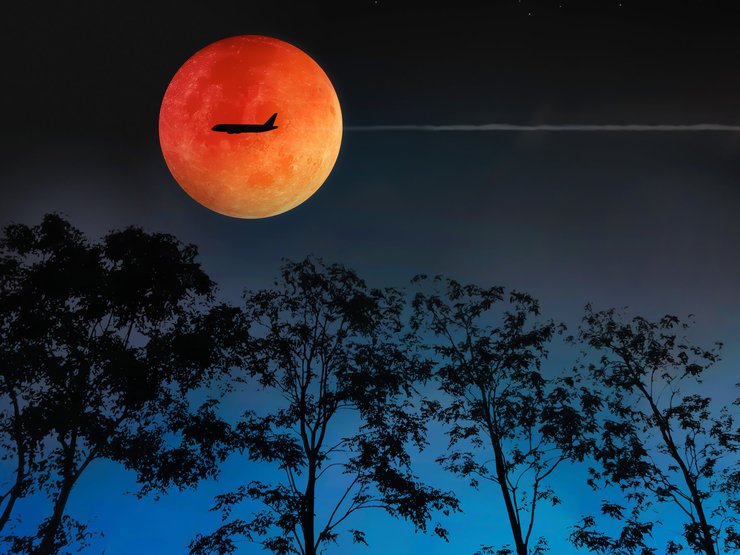 внутренний туризм, коронавирус и полеты