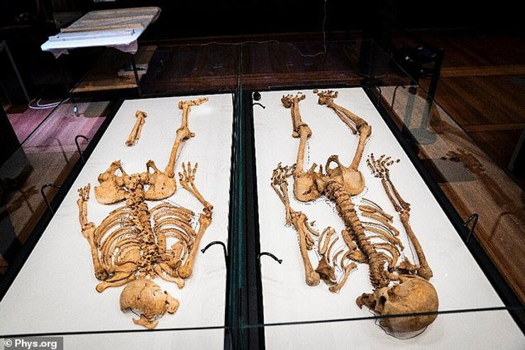 скелет, вікінг