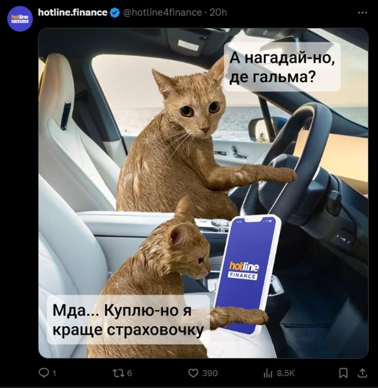 Рыжий кот, мем, фото